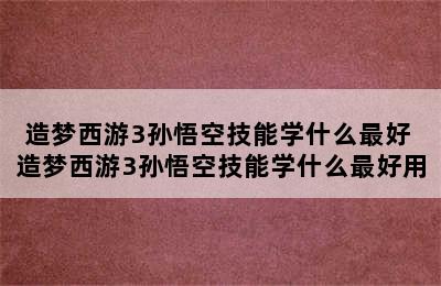 造梦西游3孙悟空技能学什么最好 造梦西游3孙悟空技能学什么最好用